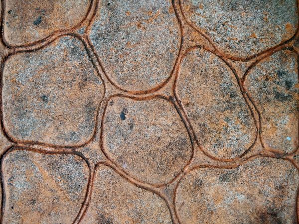 Cost of Concrete Stamping in Greensboro