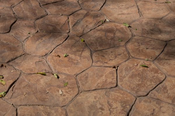 Cost of Concrete Texturing in Greensboro